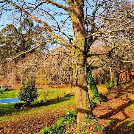 Veiga Marina Pension Comarca de Comarca de Pontevedra Buitenkant foto