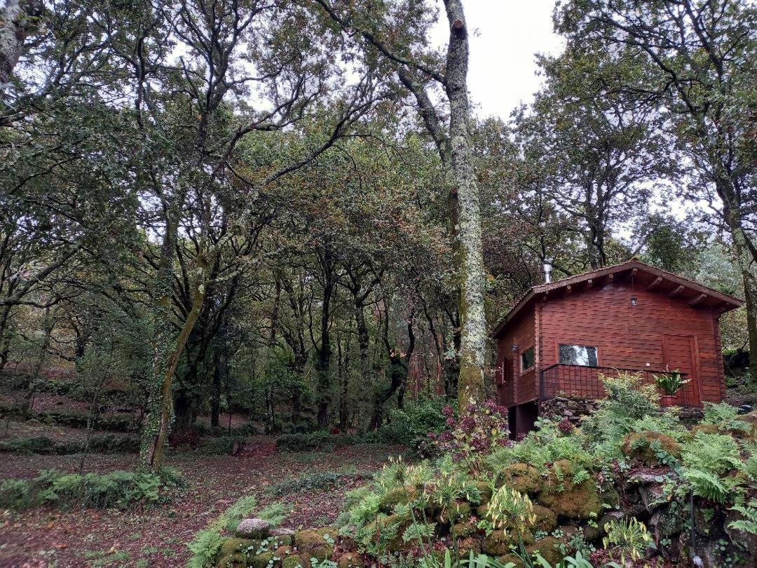 Veiga Marina Pension Comarca de Comarca de Pontevedra Buitenkant foto