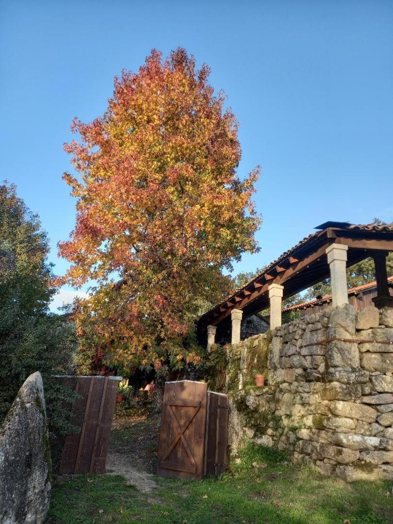 Veiga Marina Pension Comarca de Comarca de Pontevedra Buitenkant foto